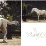 Golden-Arabian-Horses5-scaled-1