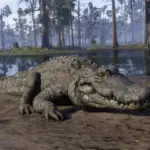 HD-Gators4-scaled-1