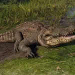 HD-Gators6-scaled-1