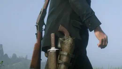 Holsters