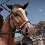 Horse-Eye-Wrinkle-Removal5