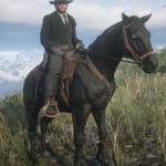 Horse-Harnesses-aka-Breast-Collars