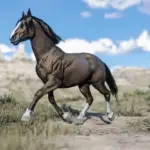 Horse-Pack-Vol.-53-scaled-1