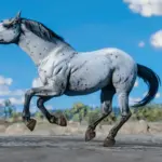 Horse-Pack10-scaled-1