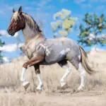 Horse-Pack2-scaled-2