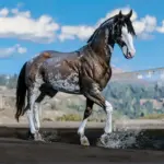 Horse-Pack7-scaled-1