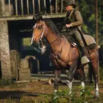 Horses2