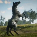 Horses3