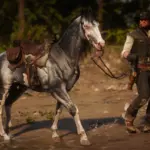 Horses4