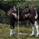 Improved-Mahogany-Bay-Tennessee-Walker-Horse3