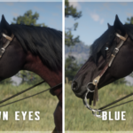 Improved-Mahogany-Bay-Tennessee-Walker-Horse4