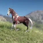 Karoz2-scaled-1