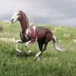 Karoz5-scaled-1