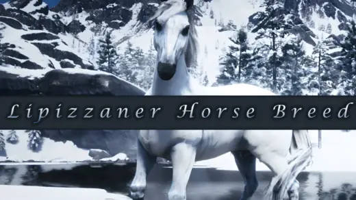 Lipizzaner-Horse-Breed-1024x651-1