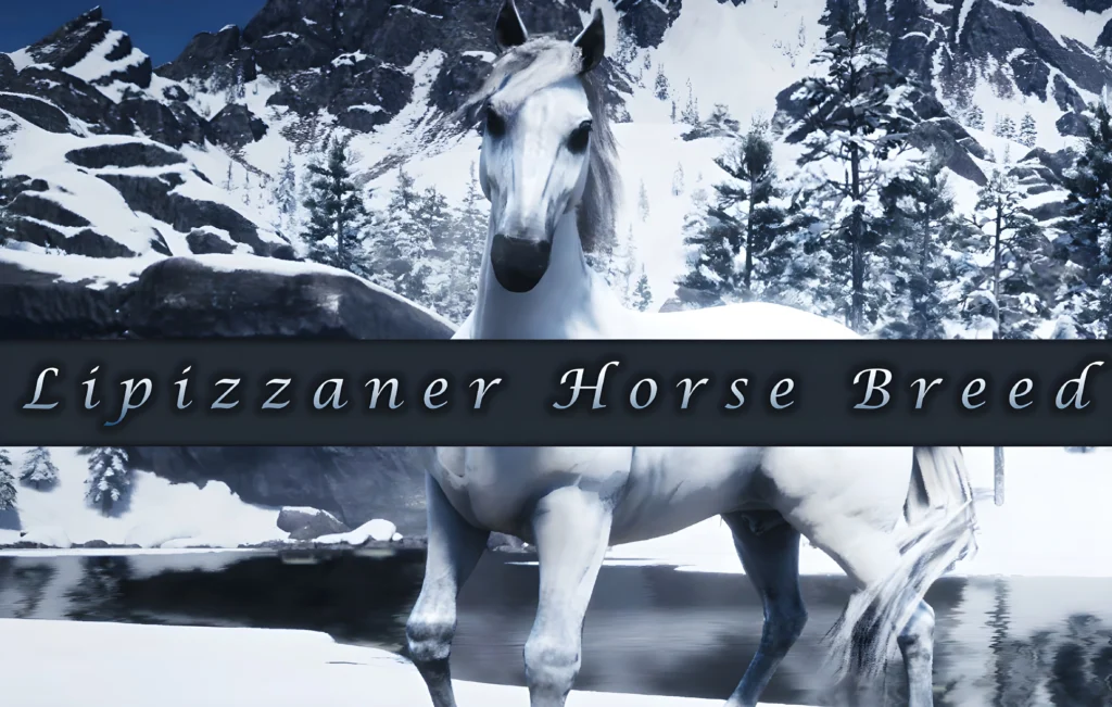 Lipizzaner Horse Breed V1.1