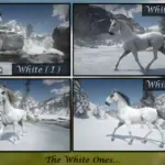 Lipizzaner-Horse-Breed3-scaled-1