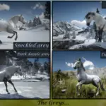 Lipizzaner-Horse-Breed4-scaled-1