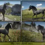 Lipizzaner-Horse-Breed5-scaled-1