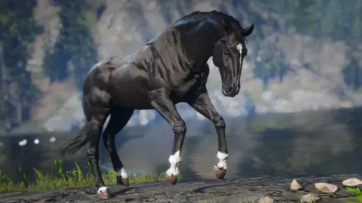 Lusitano-Horse-Breed-1024x576-1