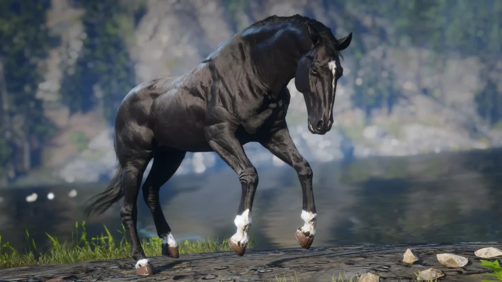 Lusitano Horse Breed V1.0