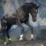 Lusitano-Horse-Breed
