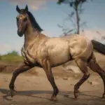 Lusitano-Horse-Breed2