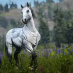 Lusitano-Horse-Breed4