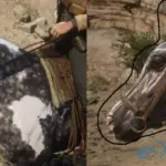 Missouri-Fox-Trotter-with-an-Arabian-face4