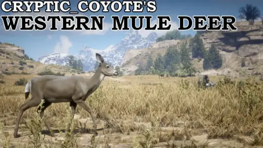 Mule-Deer-1024x583-1