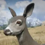 Mule-Deer4