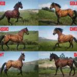 Muss-and-Reas-Bay-Horses-Collection-scaled-1
