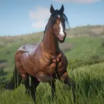 Muss-and-Reas-Bay-Horses-Collection2