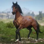 Muss-and-Reas-Bay-Horses-Collection3