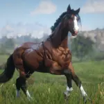 Muss-and-Reas-Bay-Horses-Collection4