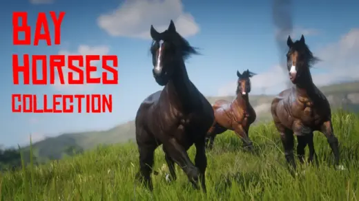 Muss-and-Reas-Bay-Horses-Collection5-1024x576-1