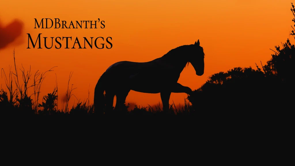 Mustangs V1.0