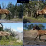 Mustangs3-scaled-1