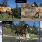 Mustangs5-scaled-1