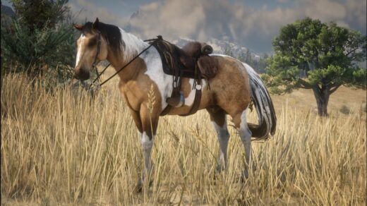 My-Custom-Horses-1024x536-1