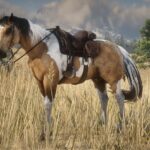 My-Custom-Horses