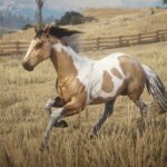My-Custom-Horses2