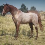 My-Custom-Horses3