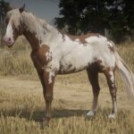 My-Custom-Horses4