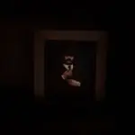 Mysterious-Stranger5