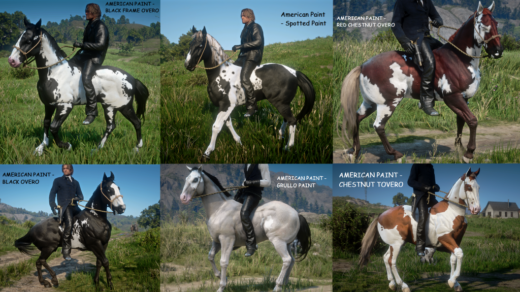 New-Horse-Coats-1024x579-1