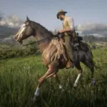 New-Horse-Coats