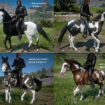 New-Horse-Coats2