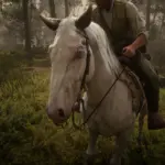 New-Horse-Coats2