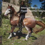 New-Horse-Coats3