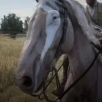 New-Horse-Coats3